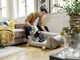Karcher VC 4 Cordless myHome Car - Power-Besen - 21,6 V - 2,5 Ah