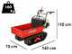 Benassi M353H &ndash; Ausziehbarer Raupentransporter &ndash; Tragkraft 350 kg