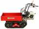 Benassi M353H &ndash; Ausziehbarer Raupentransporter &ndash; Tragkraft 350 kg