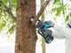 Makita DUC101ZJ LXT - Akku-Asts&auml;ge - 18V - OHNE AKKU UND LADEGER&Auml;T