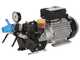 Bertolini Pumps PA 330.1 VF – Elektrische Spritzpumpe
