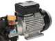 Bertolini Pumps PA 330.1 VF – Elektrische Spritzpumpe