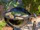 Weber Original Kettle 47 - Kohlegrill - Durchmesser Grillrost 47 cm
