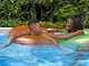 Bestway Power Steel 56671DE - 488x244x122 cm - Frame Pool