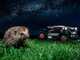 Worx Landroid Vision Cloud WR344E - M&auml;hroboter 4WD - ohne Installation - Gratis Garage!