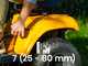 Stiga Tornado 398e &ndash; Rasentraktor mit 1 ePower Pro 56V/40Ah-Akku &ndash; Seitenauswurf und Mulchfunktion