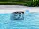 Dreame Z1 &ndash; Akku-Poolroboter &ndash; Steuerung per App