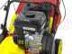 Wolf Garten VA 389 B - Vertikutierer mit festen Messern - B&amp;S 750 Motor