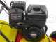 Wolf Garten VA 389 B - Vertikutierer mit festen Messern - B&amp;S 750 Motor