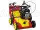 Wolf Garten VA 389 B - Vertikutierer mit festen Messern - B&amp;S 750 Motor