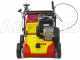 Wolf Garten VA 389 B - Vertikutierer mit festen Messern - B&amp;S 750 Motor