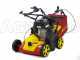 Wolf Garten VA 389 B - Vertikutierer mit festen Messern - B&amp;S 750 Motor