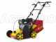 Wolf Garten VA 389 B - Vertikutierer mit festen Messern - B&amp;S 750 Motor