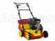 Wolf Garten VA 389 B - Vertikutierer mit festen Messern - B&amp;S 750 Motor