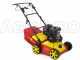 Wolf Garten VA 389 B - Vertikutierer mit festen Messern - B&amp;S 750 Motor