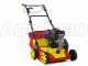 Wolf Garten VA 389 B - Vertikutierer mit festen Messern - B&amp;S 750 Motor