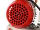 Rover Colombo 12 - Schichtenfilter mit Kartons und Platten - Pumpe aus Bronze