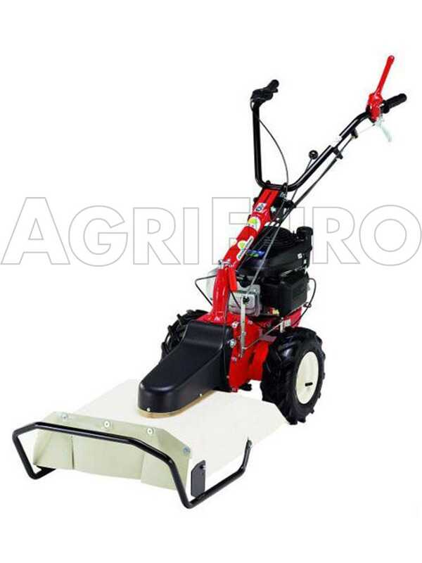 Eurosystems Minieffe M150 RM - Benzin-Schlegelmulcher - Wiesenmulcher PRO - B&amp;S 625 EXi