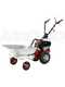 Eurosystems Minieffe M150 RM - Benzin-Mulcher - Profi-M&auml;her - B&amp;S 625 EXi