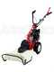 Eurosystems Minieffe M150 RM - Benzin-Mulcher - Profi-M&auml;her - B&amp;S 625 EXi