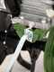 AgriEuro AGRI 5 Motorhacke / Gartenfr&auml;se - Loncin TM 60 OHV Benzinmotor, 1 + 1 G&auml;nge