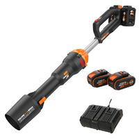 Laubbläser WORX NITRO WG585E 40V im Angebot Agrieuro