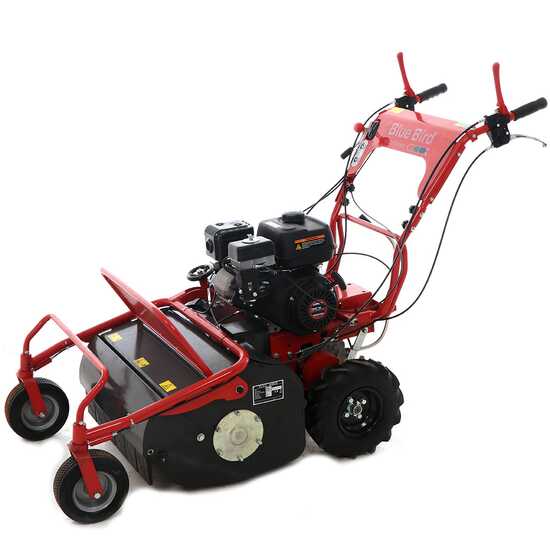 Blue Bird FM600 - Hochgrasm&auml;her mit Hammerwerk - Motor Loncin LC175F-2