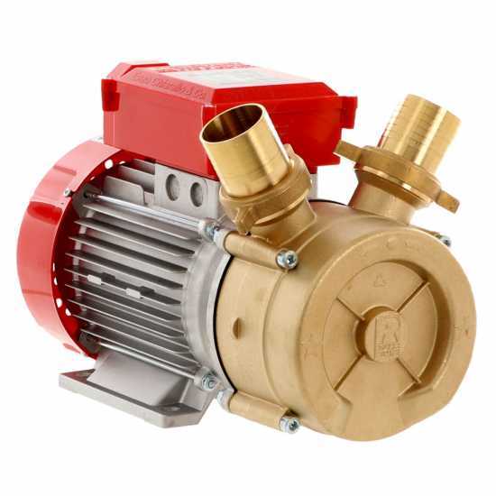 Rover 50 BE-M - Elektropumpe  aus Bronze
