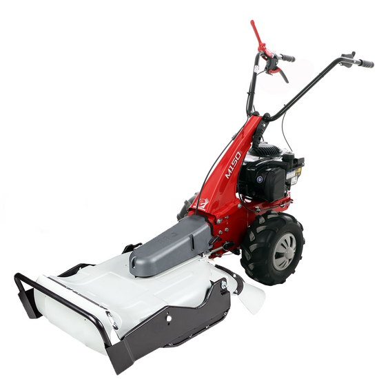 Eurosystems Minieffe M150 - Benzin-Hochgrasm&auml;her - Messer - B&amp;S 625 EXi