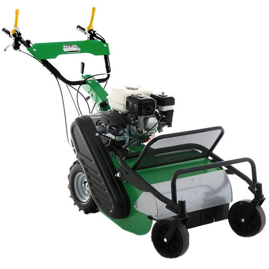 Professioneller Schlegelm&auml;her Lampacrescia MGM TTR580/S - Honda-Motor GX200