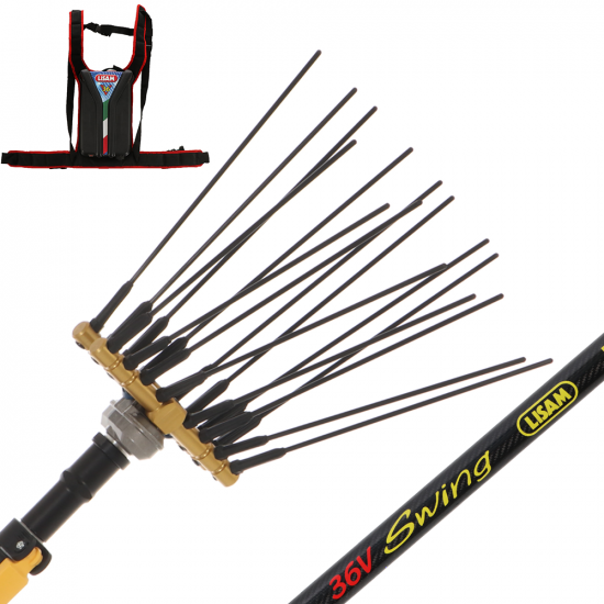 Lisam Swing 36V - Elektrischer Batterie-Olivenr&uuml;ttler- Teleskopstange - Batterie 36V 30Ah