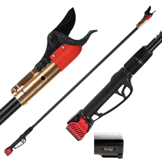 Blue Bird HPS 22-220 - Elektrische Astschere auf 220 cm Verl&auml;ngerungsstange - 21.6V 2.5Ah