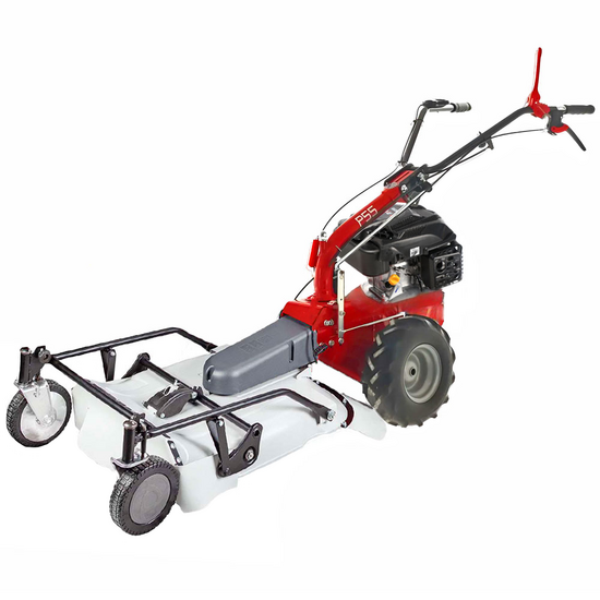 Eurosystems P55 &ndash; Benzin-Schlegelmulcher - Wiesenmulcher PRO V2 &ndash; RV200