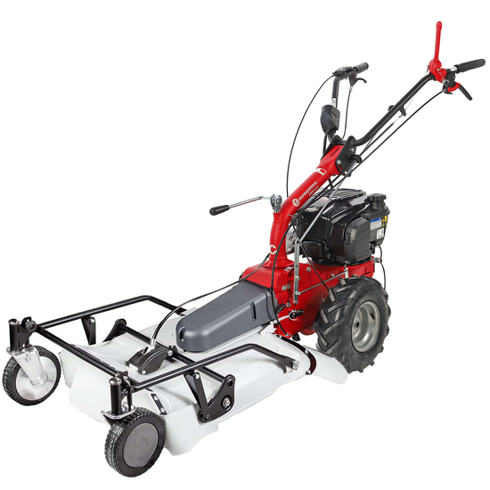 Eurosystems P55 EVO - Benzin-Schlegelmulcher - Wiesenmulcher PRO V2 - B&amp;S 675 iSi