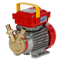 Rover 20 CE &ndash; Elektrische Umf&uuml;llpumpe aus Bronze &ndash; 230 V