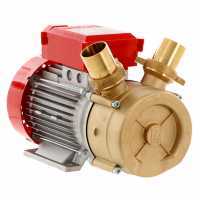 Rover 50 BE-M - Elektropumpe  aus Bronze