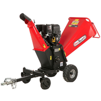 GeoTech Pro PCS 160 BSE PRO - Profi Häcksler Schredder - Motor B&S XR2100