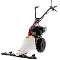 Eurosystems M210 &ndash; Motorm&auml;her mit Doppelmessern &ndash; Loncin LC1P65FE