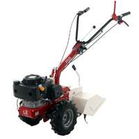 Eurosystems P55 &ndash; Benzin-Einachsschlepper &ndash; Loncin LC1P70F-3 &ndash; 6,5 PS