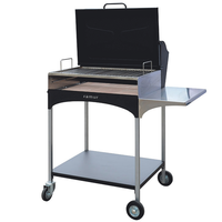 Famur BK 8 ELITE - Grill 2 in 1 zum Grillen mit Holz oder Kohle