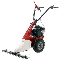 Eurosystems Minieffe M150 &ndash; Mehrzweckger&auml;t Balkenm&auml;her &ndash; B&amp;S 625 EXi
