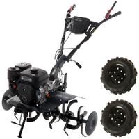 Motorhacke Blackstone MHG 1800 2+1 mit Benzinmotor von 212 ccm