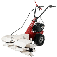 Benzin Kehrmaschine 105 cm Eurosystems Minieffe M150 RM mit Motor Briggs&amp;Stratton.