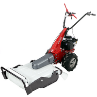 Eurosystems Minieffe M150 RM - Benzin-Hochgrasm&auml;her - Messer -  B&amp;S 625 EXi
