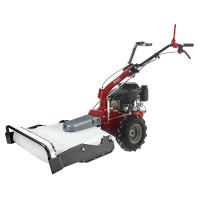 Eurosystems P55 - Benzin-Hochgrasm&auml;her - Loncin 196 ccm