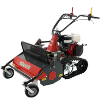 Benassi T750 HD - Professioneller Schlegelmulcher mit Y-Messern und Raupenkette -  Honda Motor GX390