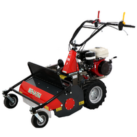 Benassi T750SP - Professioneller Schlegelmulcher mit Y-Messern  - Honda Motor GX270