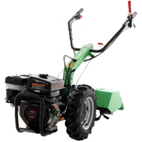 Lampacrescia MGM Boxer &ndash; Benzin-Einachsschlepper &ndash; Loncin G270F &ndash; 10 PS