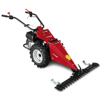Multifunktionsm&auml;her Ginko MGM FC 754 E - Honda GX160