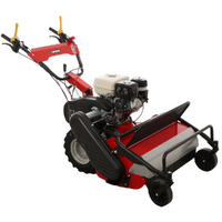 Ginko TT790 - Profi-Schlegelmulcher - Honda-Motor GX270
